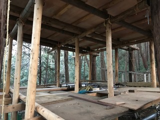 IMG_1820.jpg